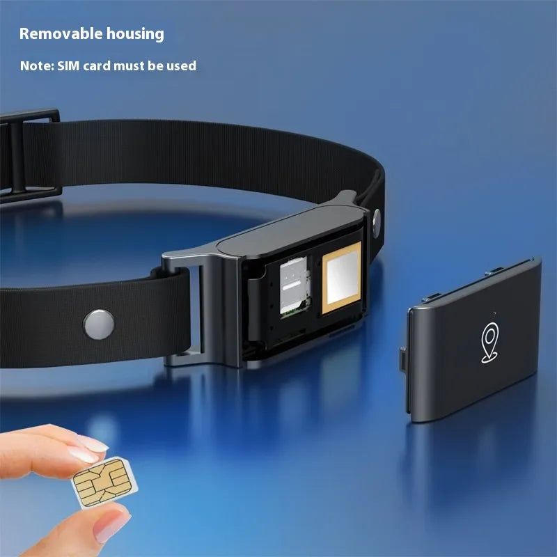 Pet Global Positioning Collar – Real-Time Tracking Locator